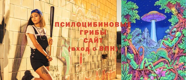 дмт Магадан