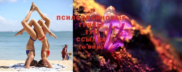 сатива Магас