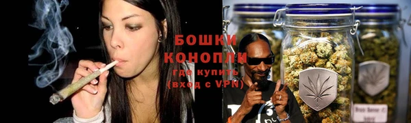 сатива Магас