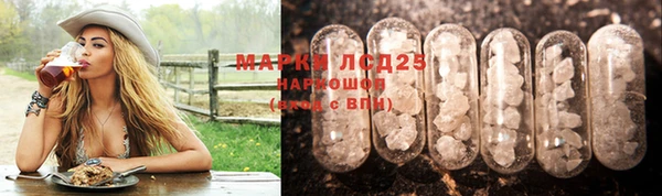 сатива Магас